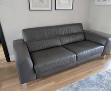 Italian leather couches