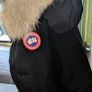 Canada Goose Bomber Image 2