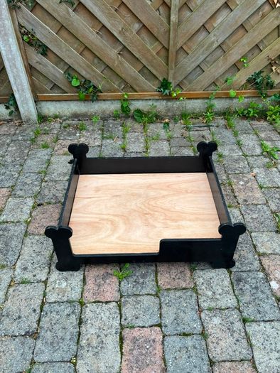 dog bed