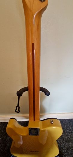 Fender Thinline Telecaster