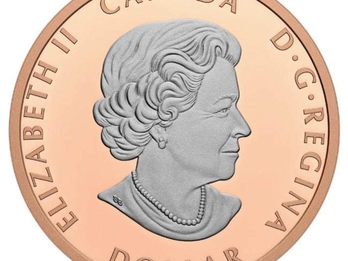 Canada 2023 Silver Peace Dollar Selective Rose Gold Plating