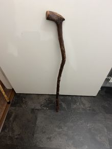 walking stick