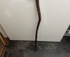 walking stick