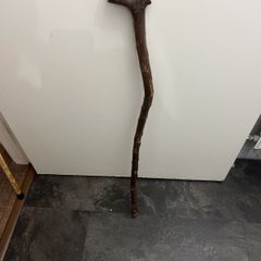 walking stick