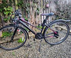 Vercelli Gazelle ladies mountain bike