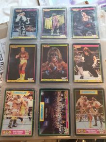WWF Merlin Trading Cards full set of 96