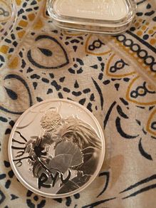 1oz 9999 silver