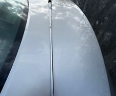 Ping Tomcat Type C