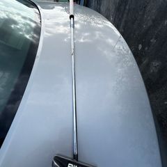 Ping Tomcat Type C