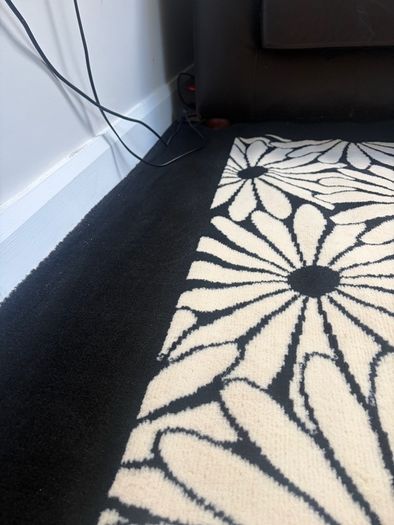 rug