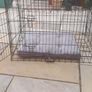 Large dog crate with bed Image 2