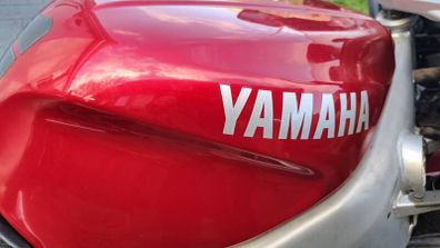 yamaha thundercat parts