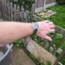Philip Watch Image 3