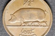 Ireland Excellent 1953 Half Penny Coin