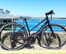 Specialized Vita Hybrid Bicycle