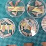 Shark teeth collection Image 7