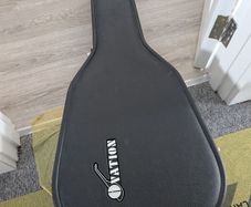 ovation guitar case