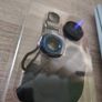Fish Eye Effect Lens Image 2