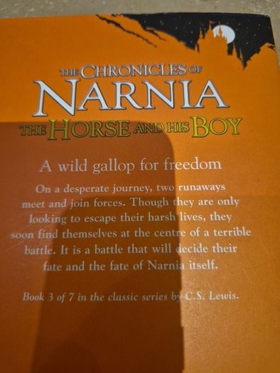 The chronicles of narnia the horse and his boy