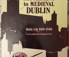 Viking Settlements In Medieval Dublin: Daily Life 840-1540 by Curriculum Development Unit