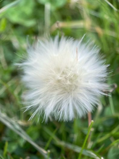 Various original macro nature photos on foam tiles