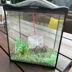 FISH tank