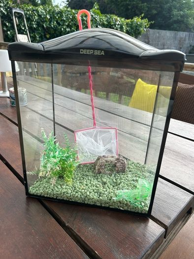 FISH tank