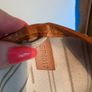 louis vuitton Neverfull MM Image 2