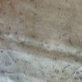 Rug Image 3