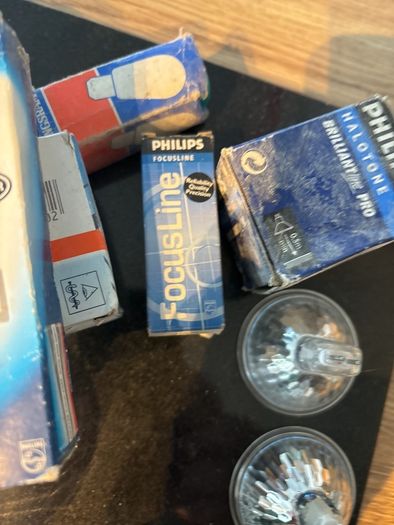 bulbs