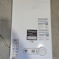 Gas boiler