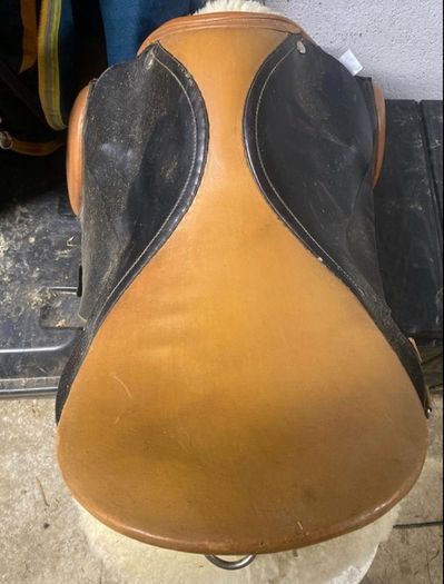 saddle