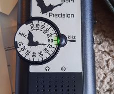 Magenta Bat Detector