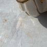 Saddler Teapot (Please Read) Image 6
