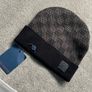 Lv beanie Image 2