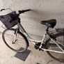 apollo elyse ladies bike Image 2
