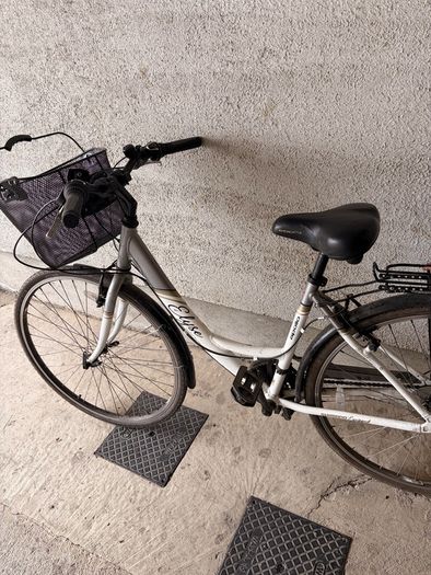apollo elyse ladies bike