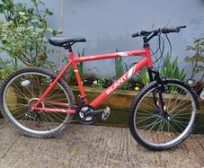 Apollo Mens bike
