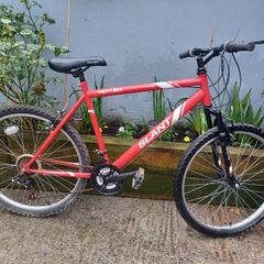 Apollo Mens bike