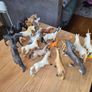 20 Schleich Horses Image 3