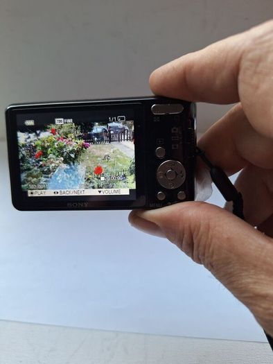 Sony Cybershot DSC-W570 Digital Camera