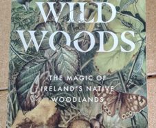 Wild Woods The Magic of Irelands Native Woodlands by Richard Nairn