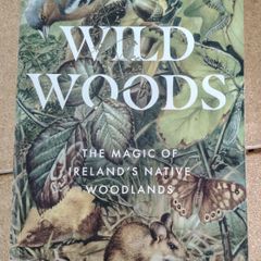 Wild Woods The Magic of Irelands Native Woodlands by Richard Nairn