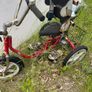 Special Needs Tricycle Image 3