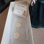 Alberon Porcelain Doll Image 3