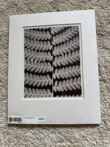 Pair of Habitat black and white prints
