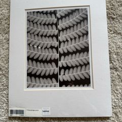 Pair of Habitat black and white prints