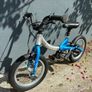 Little Big Bike Image 3