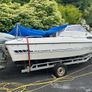Fletcher Faro sports cruiser hi Image 4