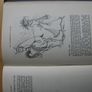 Vintage book - An Irishman's Diary by Patrick Campbell - 1950 Image 6